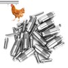 10pcs Stainless Steel Chicken Water Nipple Drinker Feeder Automatic Chicken