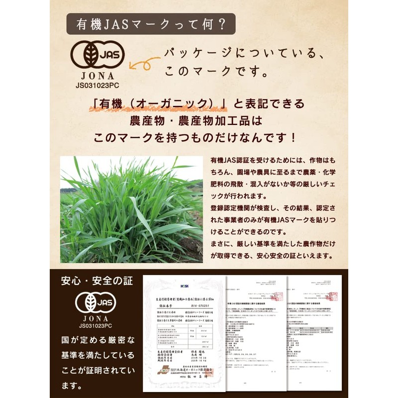 大分県産 有機大麦若葉 100g [ オーガニック 有機 JAS認証 国産 青汁 粉末