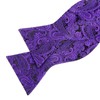 Alizeal Mens 2pcs Paisley Jacquard Self-Tie Bow Tie Pocket Square