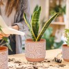 DeeCoo DeeCoo 3 Piece Ceramic Plant pots Indoor Flower Pots