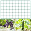 Trellis Net, 1.8 x 3.6 m Plant Net, Cucumber Net,
