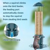 Bird Feeder,Metal Squirrel Proof Bird Feeders for Outdoors Hanging 4.0