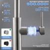 FROPO Waterfall Kitchen Faucet with Pull Down Sprayer, 4 Modes