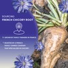 Worldwide Botanicals French Chicory Root, 1 Pound - Brew Like