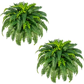 Faux Fern Large Fake Ferns, Artificial Ferns for Outdoors Indoors, 43Inch Large Realistic Fake Boston Green Plants with 60 Fronds, UV Resistant Plastic Faux Plants for Home Office Garden Porch Decor 2