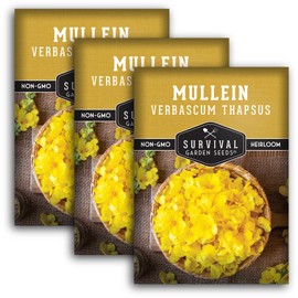 SURVIVAL GARDEN SEEDS Mullein Seed for Planting - 3 Packets with Instructions to Plant and Grow Medicinal Herb Common Mullein in Your Home Vegetable Garden - Non-GMO Heirloom Variety - Survival Garden Seeds