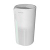 Raycon Room Air Purifier, H13 Replaceable HEPA Filter, Air Quality