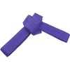 SHIHAN POWER SPORTS PURPLE 280cm Karate Taekwondo Belt, Karate, Kickboxing,