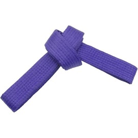 SHIHAN POWER SPORTS PURPLE 280cm Karate Taekwondo Belt, Karate, Kickboxing, Shotokan KARATE KID