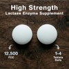 Nutrivo Lactase Tablets | High Strength Lactose Intolerance Tablets 12,500