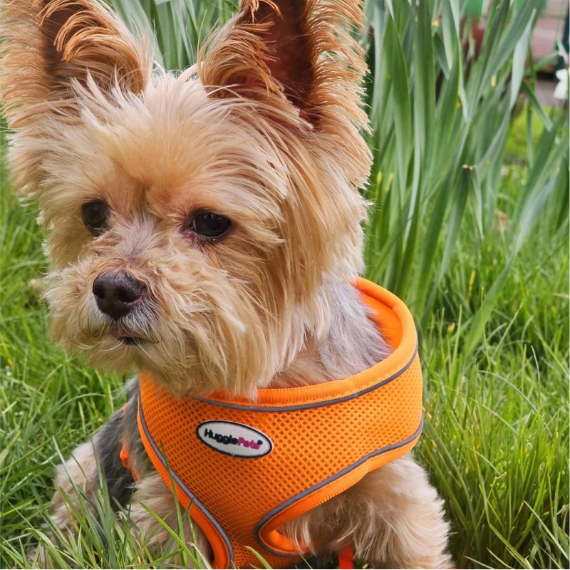 HugglePets Air Mesh Step In Dog Harness - Red (Extra