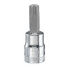 DEWALT 3/8" Drive T50 TORX Socket
