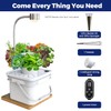 Hydroponics Growing System Kit, 8L Large Capacity, 6 Pods Smart