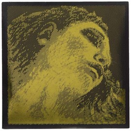 EVAH PIRAZZI GOLD エヴァ ピラッツィ ゴールド ヴァイオリン弦D線