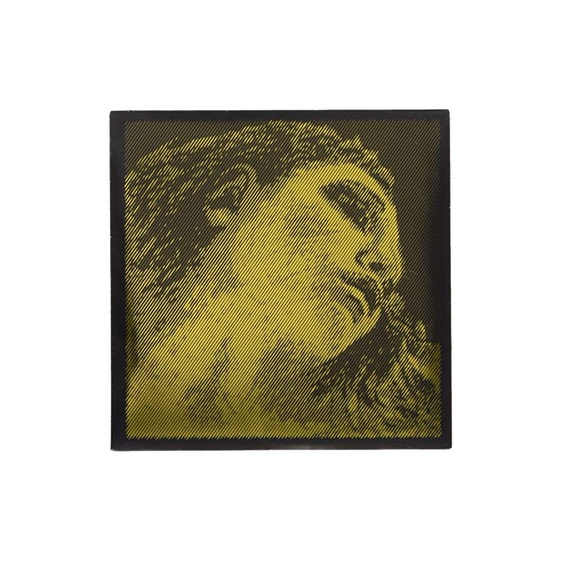 EVAH PIRAZZI GOLD エヴァ ピラッツィ ゴールド ヴァイオリン弦D線