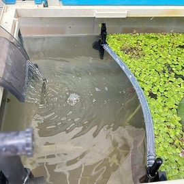 Floating Plant Fence for Aquarium, Separates Plants, Automatically Adjusts Height with Water Level, Suitable for Most Aquariums. (1 PCS)