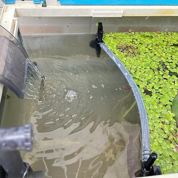 Floating Plant Fence for Aquarium, Separates Plants, Automatically Adjusts Height