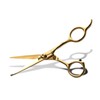 Park Jun Beauty Lab (Premium) Park Jun Titanium Gold Hair