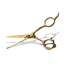 Park Jun Beauty Lab (Premium) Park Jun Titanium Gold Hair Cutting Straight Scissors