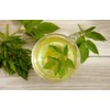 Lowhill Valley Ground Elder Herb - Aegopodium Podagraria Herbal Tea