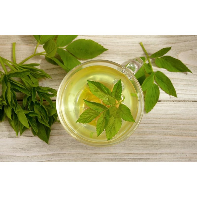 Lowhill Valley Ground Elder Herb - Aegopodium Podagraria Herbal Tea