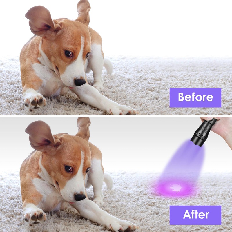 UniqueFire 501B 395nm UV Flashlight Blacklight Portable Black Light for