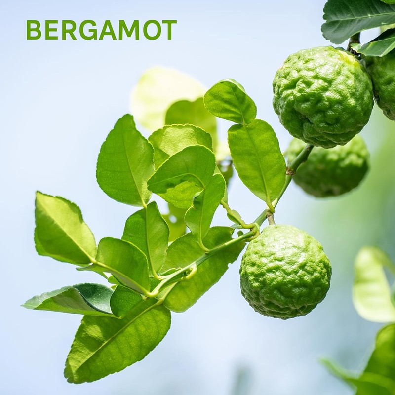 Zermat For Men, Intrepid Experience Fragrance Body Spray, 8.45 Fl.