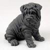 Conversation Concepts Shar Pei Figurine Black