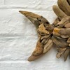 Darthome Ltd Natural Rustic Driftwood Wall Fish Decorative Home Sculpture