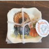 MAXCERA Set 4 Pumpkin Turkey Thanksgiving Dessert Appetizer Plates