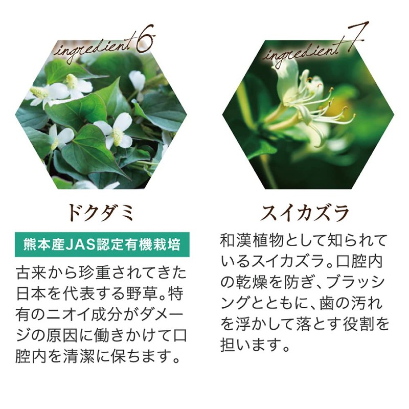 Yazuya Group Kyushu Natural Museum Dental Green Propolis 3.5 oz