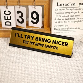 Funny Desk Nameplate – I'll Try Being Nicer, You Try Being Smarter – 8" x 2" Gold Office Sign – Sarcastic Work Desk Decor, Gag Gift for Coworkers, Friends, or Bosses