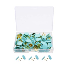 Tupalizy 120PCS Flat Plastic Round Head Map Thumb Tacks Push Pins with Steel for Hanging Art Picture Tapestry Wood Bulletin Cork Board Wall Cubicle and DIY Craft Home School Office Use (Mint Green)