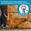 Cat Harness and Leash Set - Escape Proof Adjustable Cat