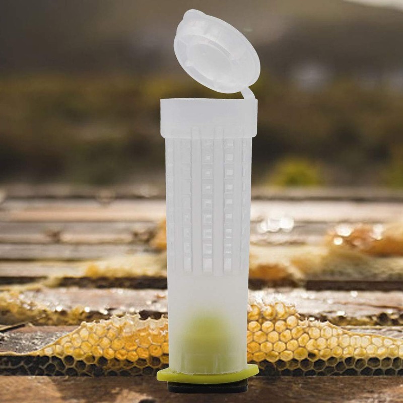 Beekeeping Queen Bee Rearing Plastic Breeding Cell Cup Kit for