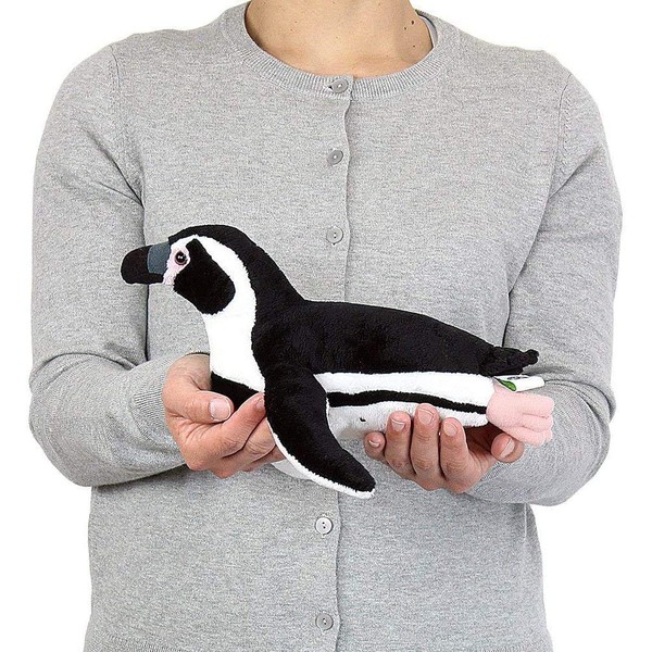 Carolata Humbold Penguin Parents Plush Toy, Swimming, 12.2 x 4.7 x 11.0 inches (31 x 12 x 28 cm), Animals, Realistic Toy, For Kids, Animal, Present, Sea Creatures