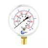 CARBO INSTRUMENTS 2-1/2" Capsule Diaphragm Pressure Gauge 10 PSI 1/4"