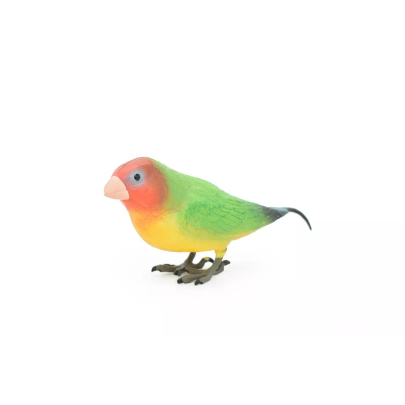 Safari Lovebird, Parrot, Toy Bird Realistic Rubber Model, Hand Painted