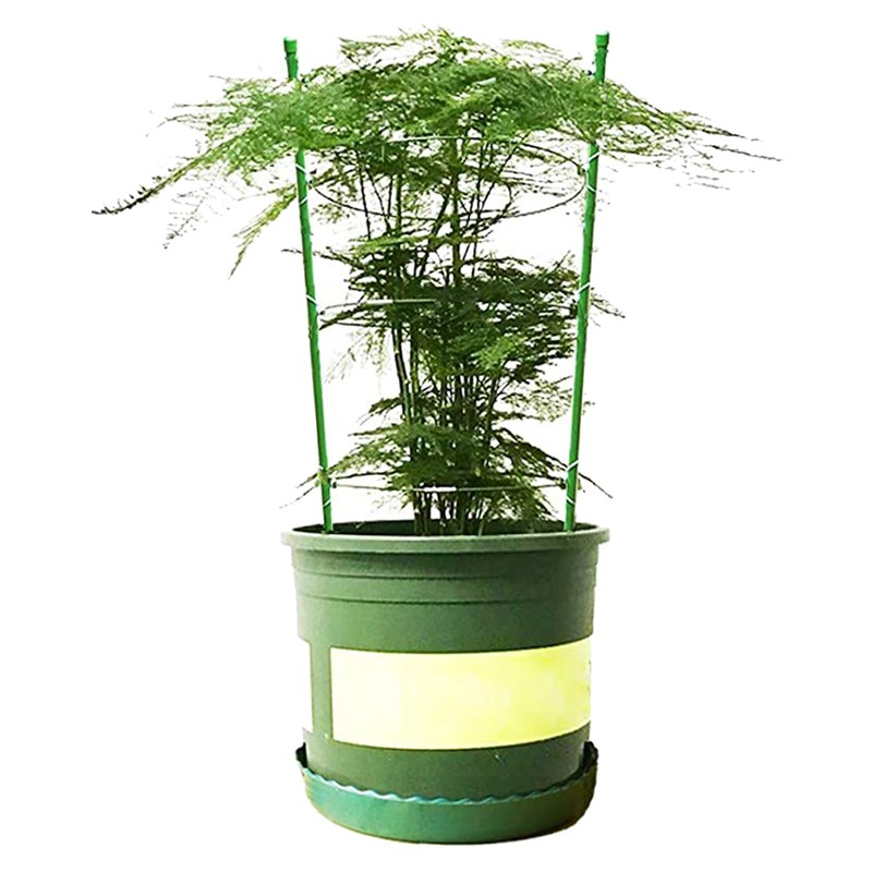 4 Pack Climbing Plant Support Cage Garden Trellis Flowers Tomato