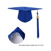 SAMDEEMI Unisex Adult Matte Graduation Gown Cap Tassel Set 2025