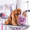 Dog Grooming Belly Strap - Dog Grooming Table Arm Extender