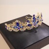 Wekicici Crystal Tiara Crowns Princess Blue Rhinestone Crown with Combs