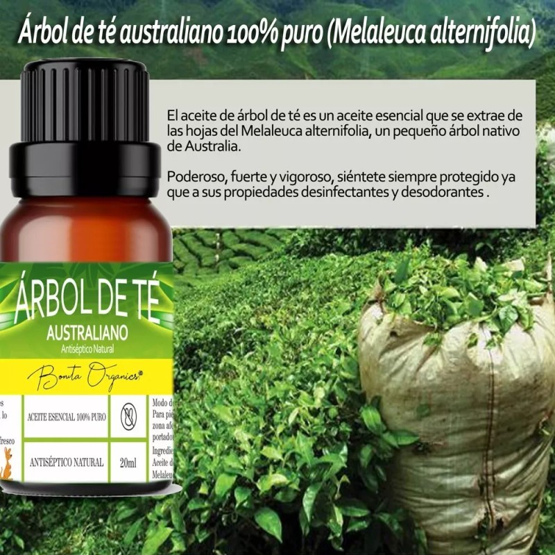 BONITA ORGANICS Árbol De Té Aceite Esencial Puro Natural Garantizado