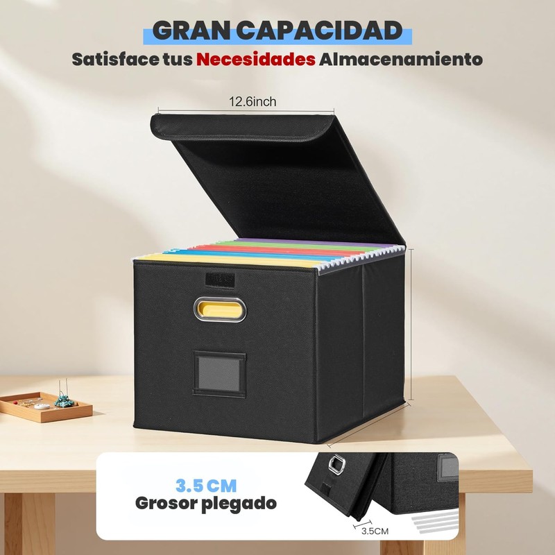 Paquete de 2 Cajas Organizadoras de Archivos con Tapa y
