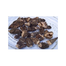 Dried Morel Powder 4 oz