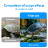 RAMGLYO 2 Pcs Turtle Cleaning Brush Turtle Shell Cleaning Brush