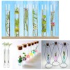 Dancepandas, 30 pcs plastic test tubes with natural cork (transparent),