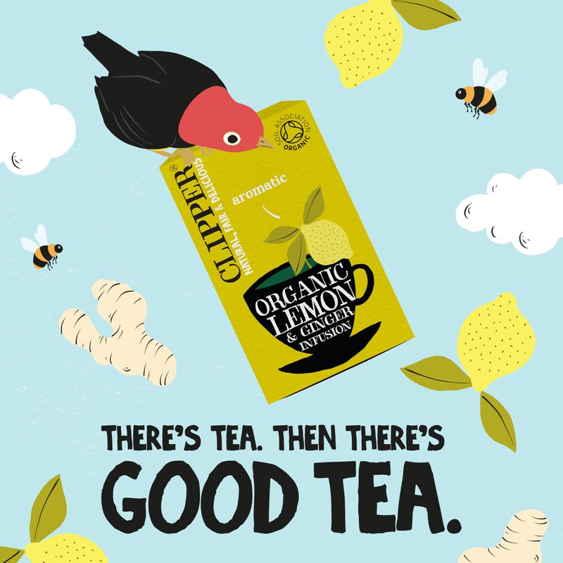 Clipper Lemon & Ginger Tea, 20 Bags
