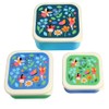 Fairies in The Garden Reusable BPA Free Snack Boxes (Set