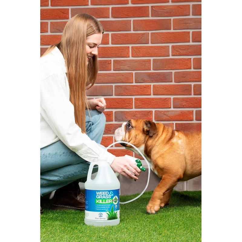 Blue Springs Vinegar Weed & Grass Killer | Fast Acting